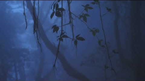 (105) سورة الفيل | مشاري العفاسي مع صوت المطر