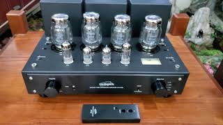 Amply Đèn Đỉnh Cao Line Magnetic LM-216IA  LH0944737321