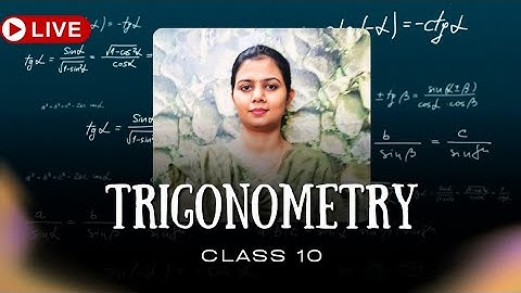 Trigonometry Crash Course | Class 10 Maths | Full Concept & NCERT Questions