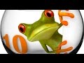 Countdown Timer 10 sec v 525 Crazy Frog Timer with Sound Effects HD