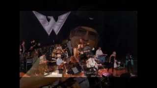 Video thumbnail of "Waylon Jennings ~ Can't You See ~"