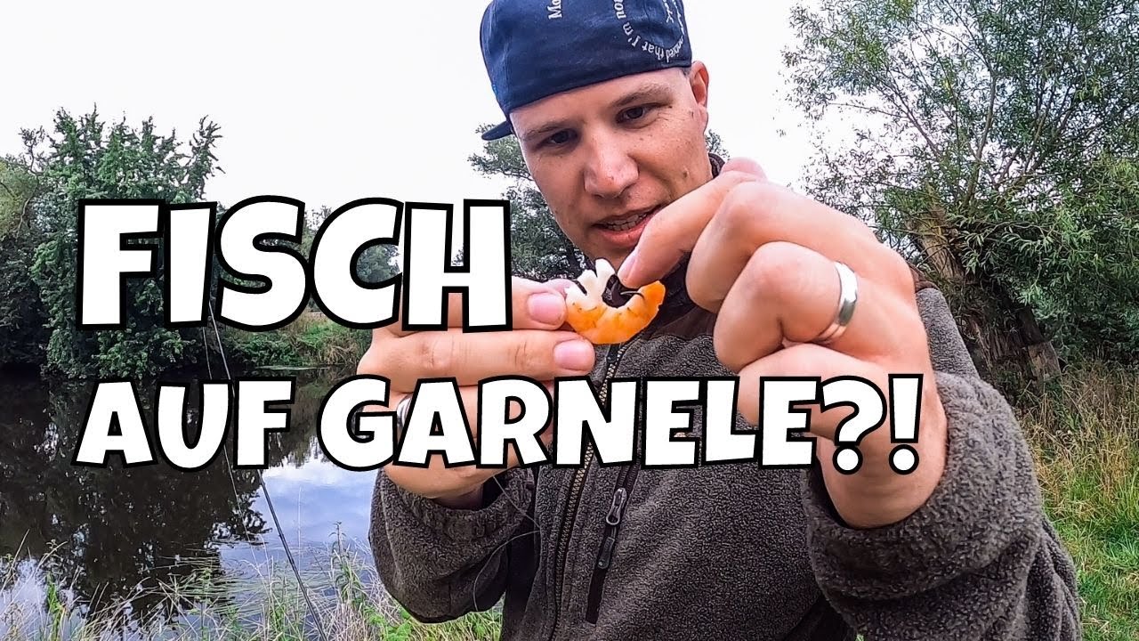 Ansitz Angeln mit minimaler Ausrüstung Wurm + Garnele auf Aal Montage einfach erklärt Vlog