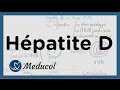 Hépatite D: transmission, symptômes, co-infection et sur-infection avec l'hépatite B