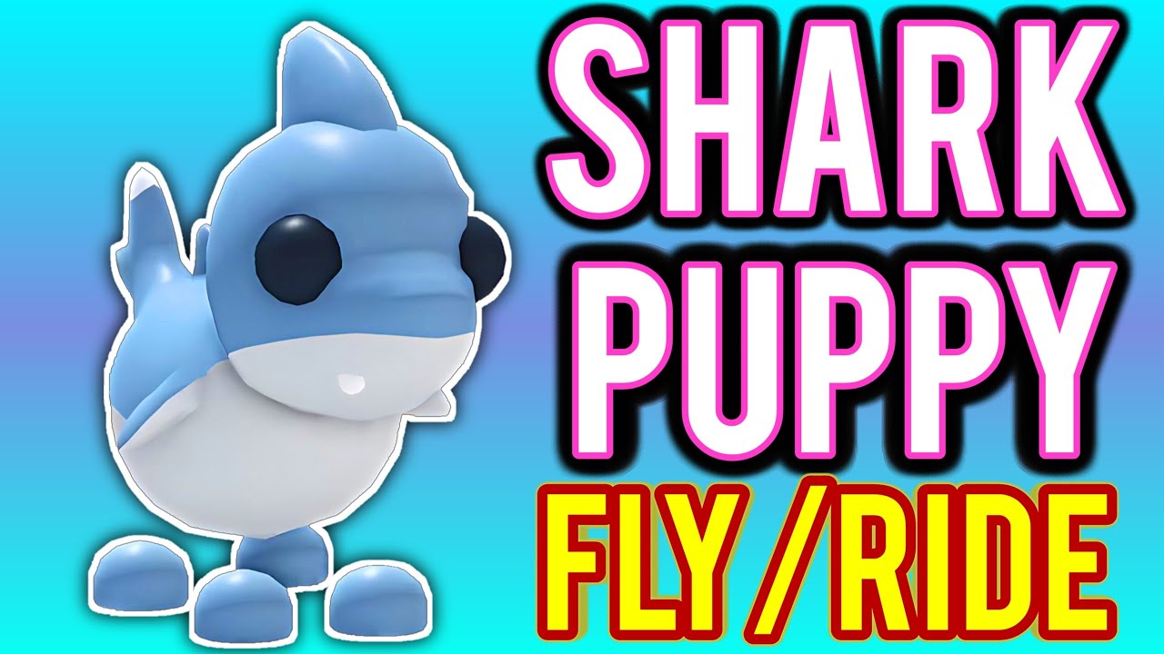 SHARK PUPPY FLY RIDE In Adopt Me Summerfest Update YouTube SHARK PUPPY FLY RIDE In Adopt Me Summerfest Update YouTube