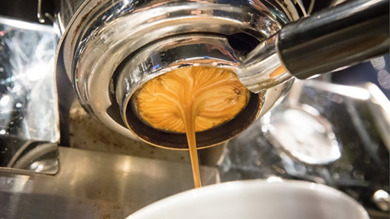 Propeller Coffee in Toronto makes some of the city's best coffee YouTube