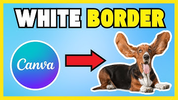 How To Make A White Border On A Picture In Canva [FREE and PAID]