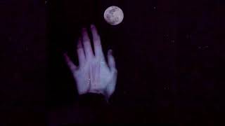 Lx24 - Ночь-Луна