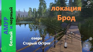 Русская рыбалка 4 - озеро Старый Острог - Амур с мостика