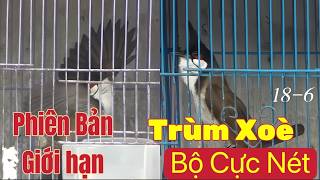 Nt Phiên Bản Trùm Xoè Bung Hết Cỡ/ Đấu Thông 2 Mặt Lắc Như Máy/ Bộ Cực Nét Mặt Sát Thủ 18.6