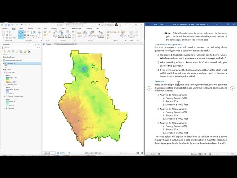 Wildlife Analysis in