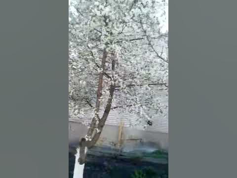 Наш край. Червоный Донец.(6) - YouTube