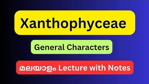 Xanthophyceae #yellowgreenalgae #phycology #algae #mscbotany #biotechnology #lifescience #biology