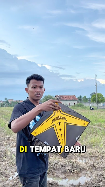 The king of kites tries out the greeting in a new place! Automatically attracts attention #kites ...