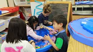 Social-Emotional Learning at TAS: Introducing the Blueprint