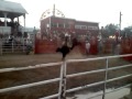 Jamie Griswold bull riding, Afton rodeo 2011 Jamie Griswold bull riding, Afton rodeo 2011