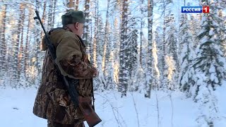 Костромские охотоведы: на защите лесного зверя