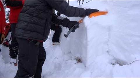 Extended Column Test