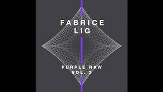 Fabrice Lig - Purple Raw 3 ep - Gravitational Voyage (Joris Voorn Edit)