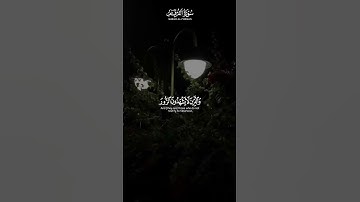 اكتب شيء تؤجر عليه ✍️ | سورة الفرقان القاريء #محمد_اللحيدان #القرآن_الكريم  #آيات #تلاوة_خاشعة