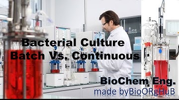 Batch culture vs continuous culture
