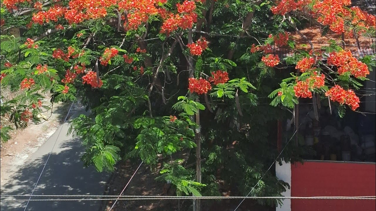 Mythological# archaeological@ poses@AVEMANU🙏 ARI YAN Block