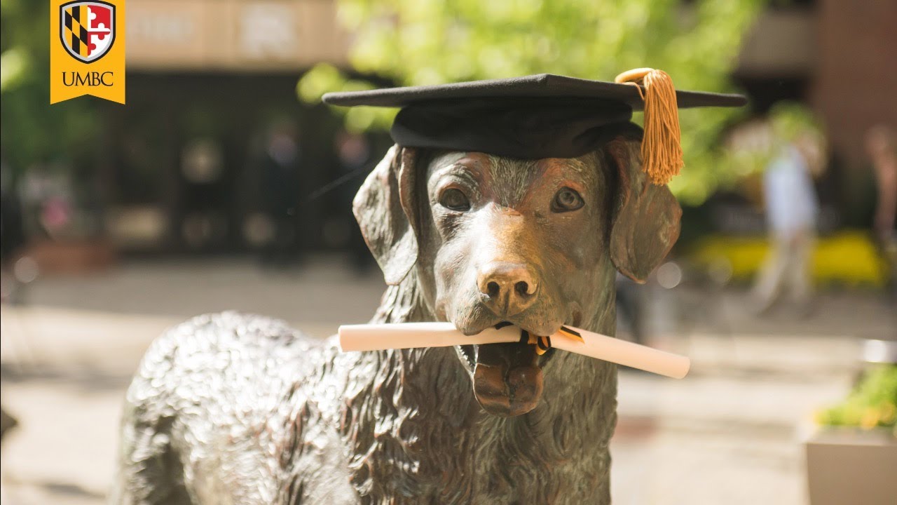 UMBC Winter Undergraduate Commencement 2020 - YouTube