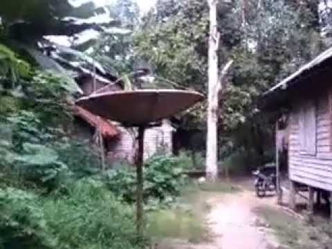  Rumah  di tengah hutan  YouTube