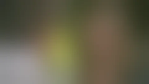 Movies with Cheese Presents: The Last Shark Great White (1981) Full Movie