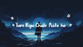 Tum Kyu Chale Aate Ho - (Slowed + Reverb) | Vicky Singh | The Music Mix #youtube #vickysingh