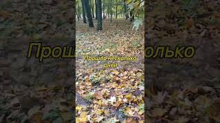 Гроза района. #славянскаяua #чихуахуа #парк #прогулка #прогулкапопарку #осень