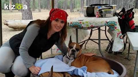 Kizoa Movie - Video - Slideshow Maker: Cade Memorial Video