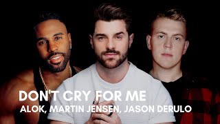 Alok, Martin Jensen, Jason Derulo - Dont Cry For Me (Lyrics)