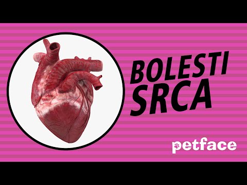 Video: Bolesti Srca (Hipertrofična Kardiomiopatija) Kod Pasa