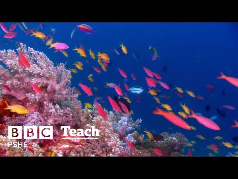 Explore your creative side - BBC Teach