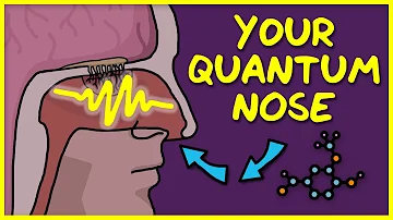 You Use Quantum Physics to Smell