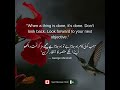Daily Wisdom: motivation_wisdom_success_life | Live Now