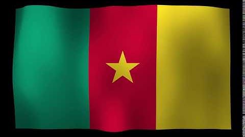 Cameroon Flag 4K Loop Video