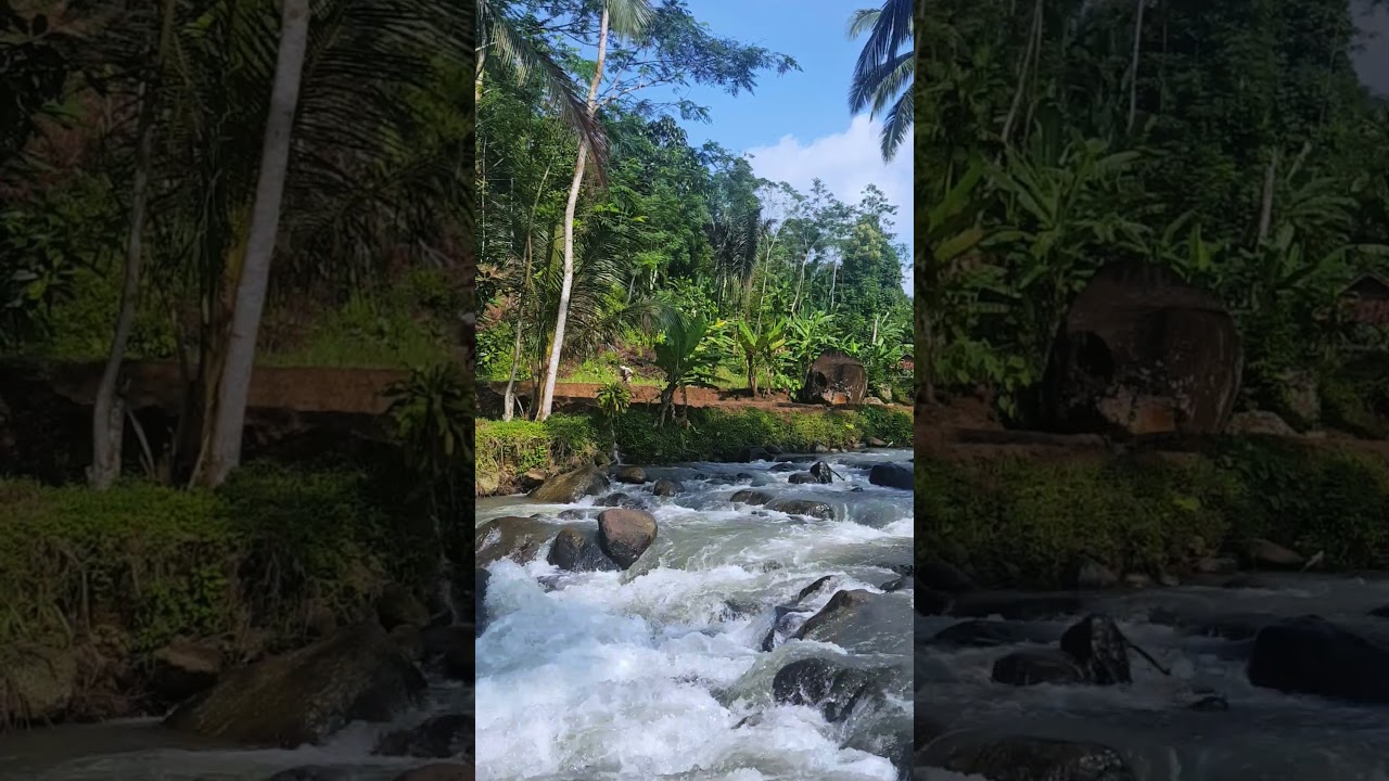 Tropical River ASMR for Sleep & Deep Calm 🌴💧 