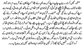 Urdu Novel    Tere Sath Har Lamha Khaas  Complete Urdu Romantic Novel  Morals Story