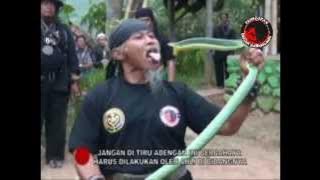 Ki Kebo Kenongo, Kasepuhan Padepokan Gagak Karancang