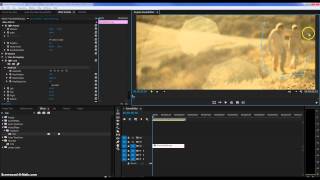 Feather Crop in Premiere Pro CC 2014