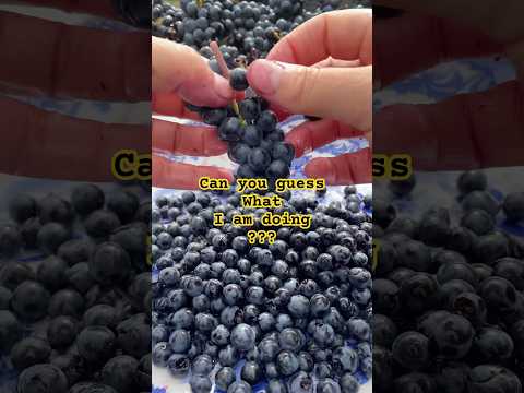        جواهر مش عنب