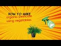 DIY 002: How to Make Organic Pesticide Using Vegetables (Science Project)