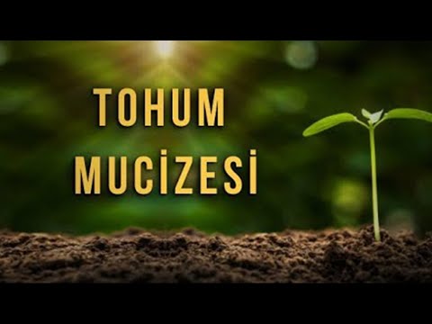 TOHUM MUCİZESİ  ᴴᴰ