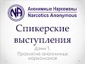 Дэни Т.  Проклятие Анонимных Наркоманов.  Спикерское.