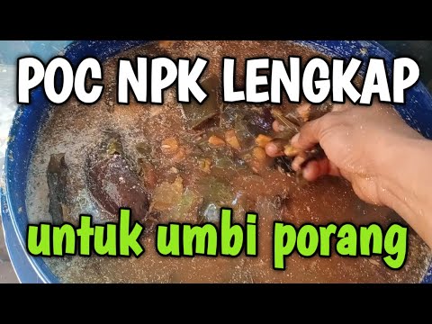 Video: Komposisi Tanaman Berumbi Dalam Pot Tinggi