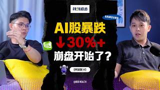 AI股大跳水30%，超级行情结束了？【钱线追击 EP03】