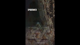 Spiderweb