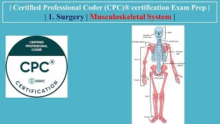 | Certified Professional Coder (CPC) certification Exam Prep | 1. Surgery | Musculoskeletal System |