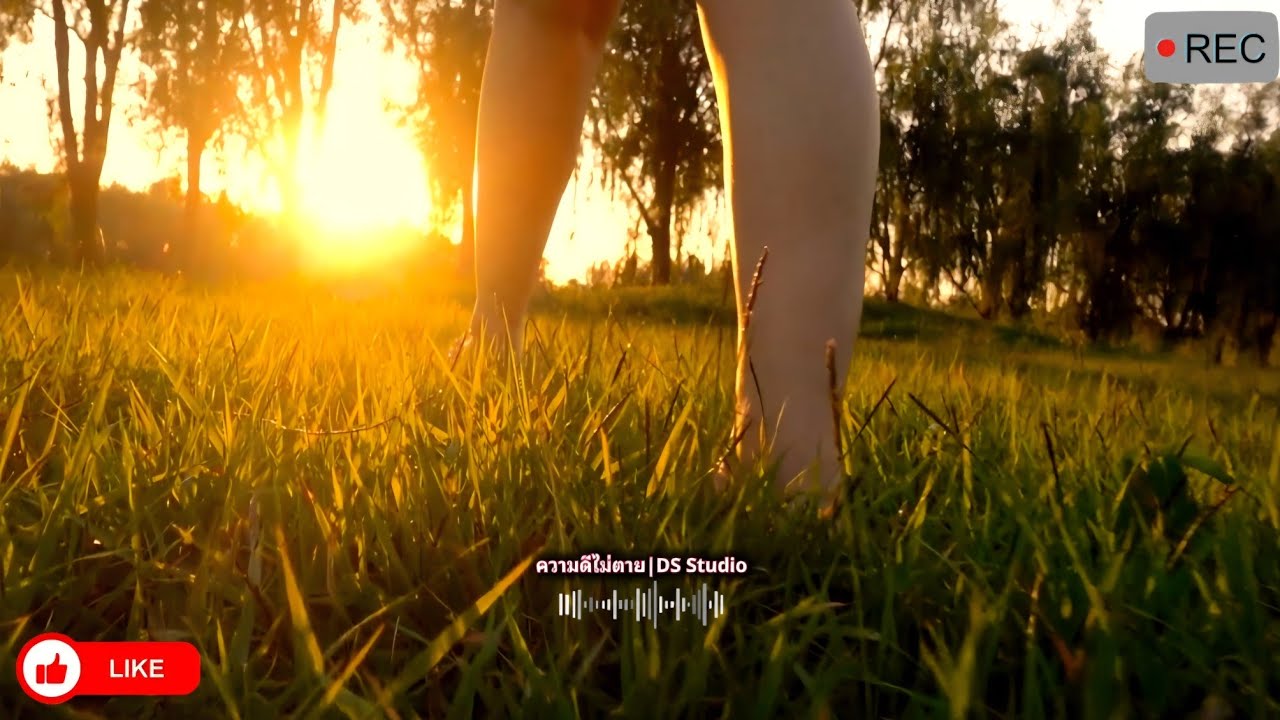 ความดีไม่ตาย : DS Studio (Official Audio) 